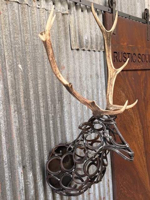 images/DEER1.jpg
