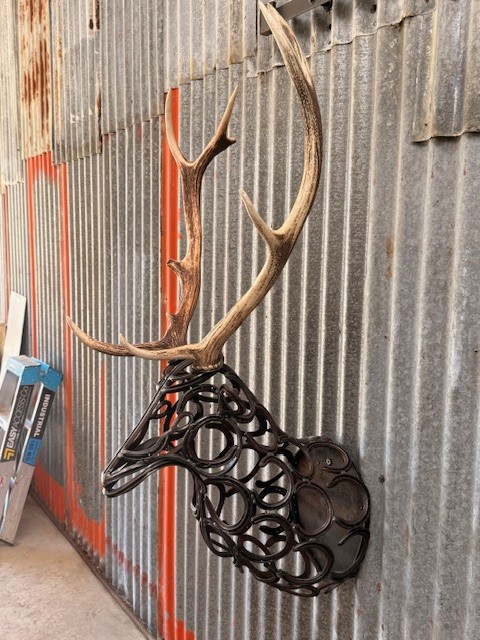 images/DEER5.jpg