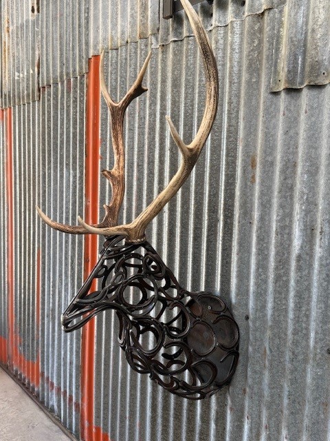 images/DEER6.jpg