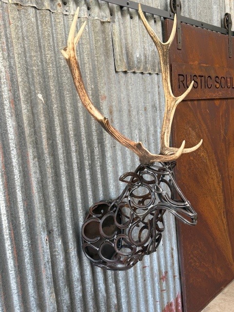 images/DEER7.jpg