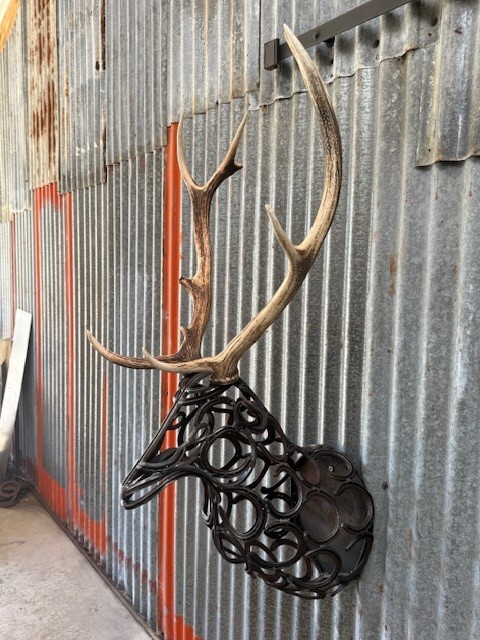 images/DEER8.jpg