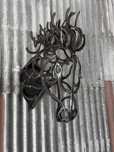 images/HORSE5.jpg
